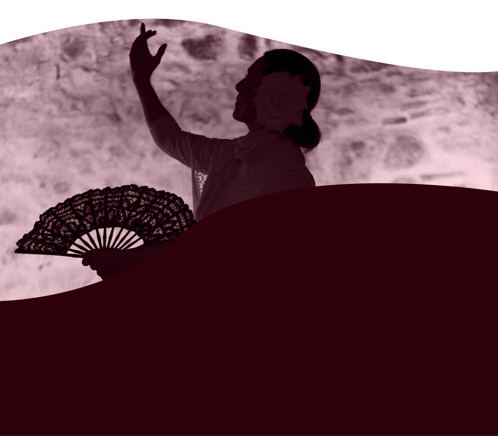 Flamenco visual